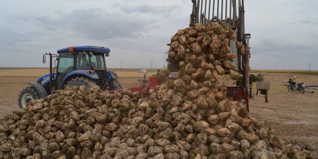 Yılda 2 milyon ton üretim yapan Aksaray’da hasat başladı! Fiyat belirlendi, üreticinin yüzü güldü: Satışlar memnun ediyor 5